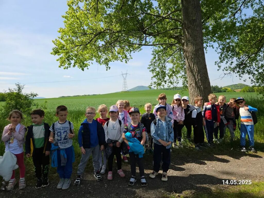 Zdjęcie do artykułu "Biedroneczki na RODos"