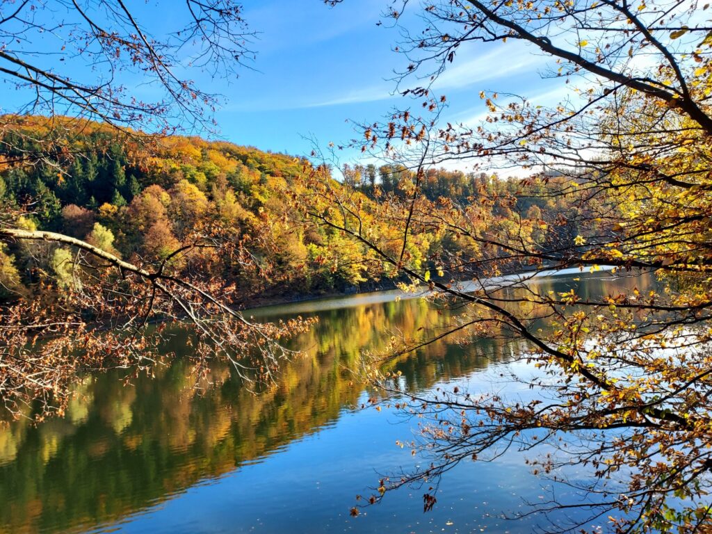 Zdjęcie do artykułu "Finał szkolnego konkursu fotograficznego JESIEŃ W OBIEKTYWIE"