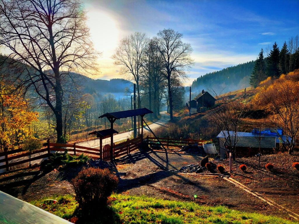 Zdjęcie do artykułu "Finał szkolnego konkursu fotograficznego JESIEŃ W OBIEKTYWIE"