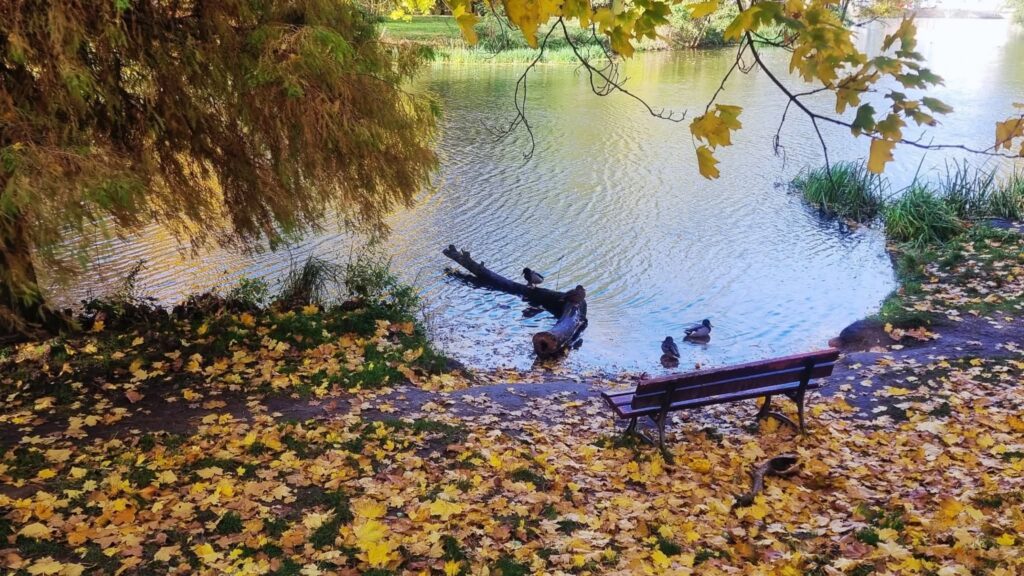Zdjęcie do artykułu "Finał szkolnego konkursu fotograficznego JESIEŃ W OBIEKTYWIE"