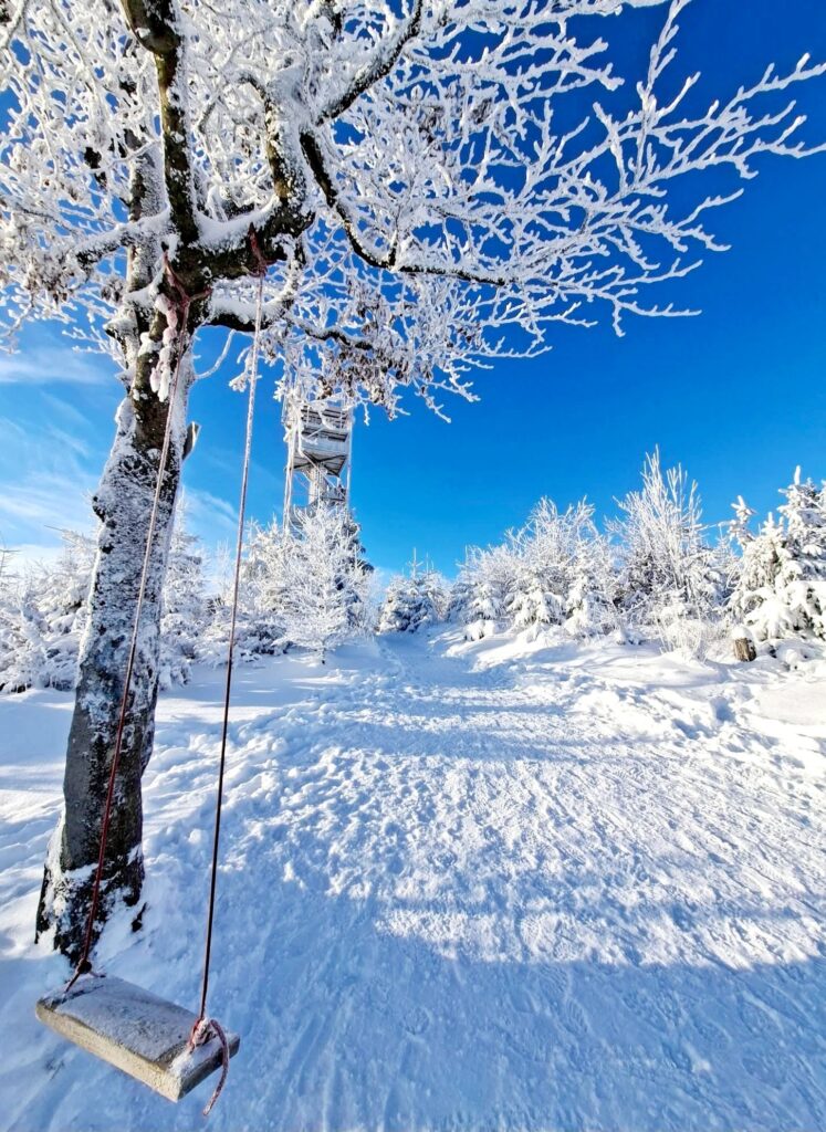 Zdjęcie do artykułu "Finał szkolnego konkursu fotograficznego ZIMA W OBIEKTYWIE"