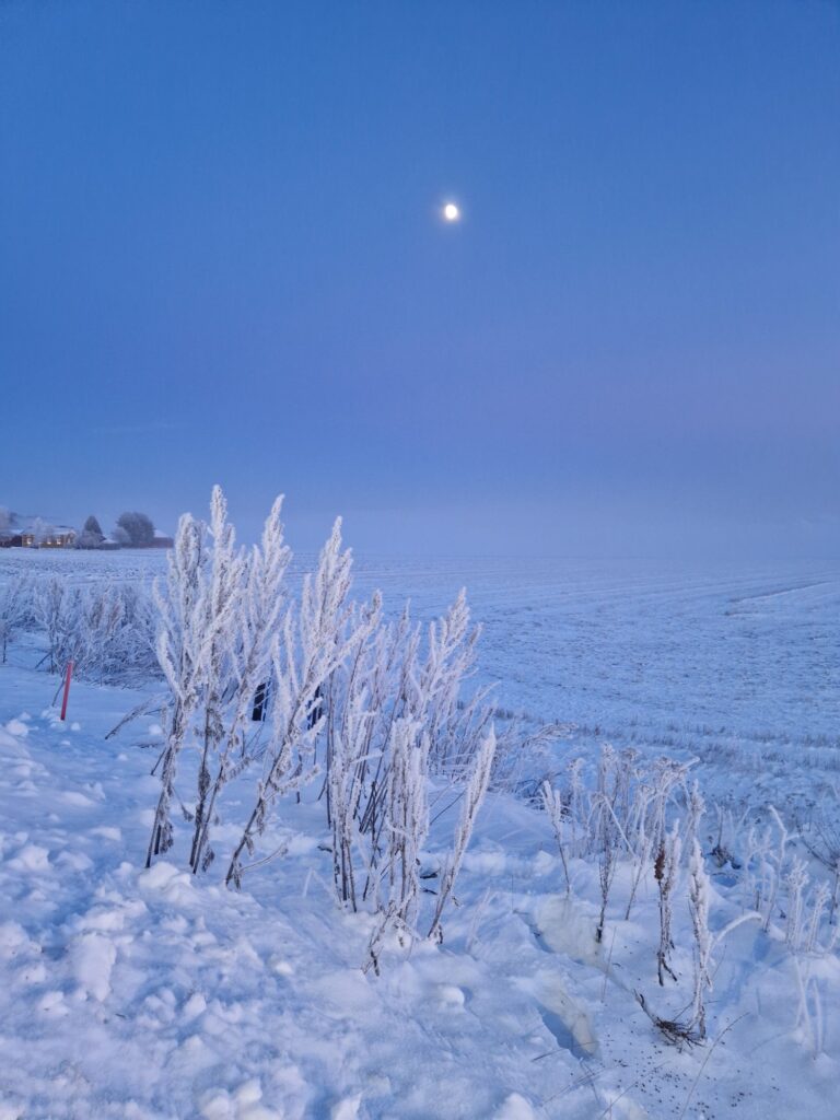 Zdjęcie do artykułu "Finał szkolnego konkursu fotograficznego ZIMA W OBIEKTYWIE"