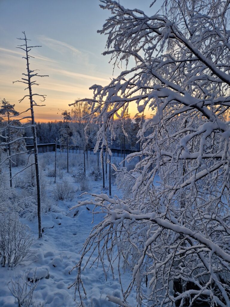 Zdjęcie do artykułu "Finał szkolnego konkursu fotograficznego ZIMA W OBIEKTYWIE"