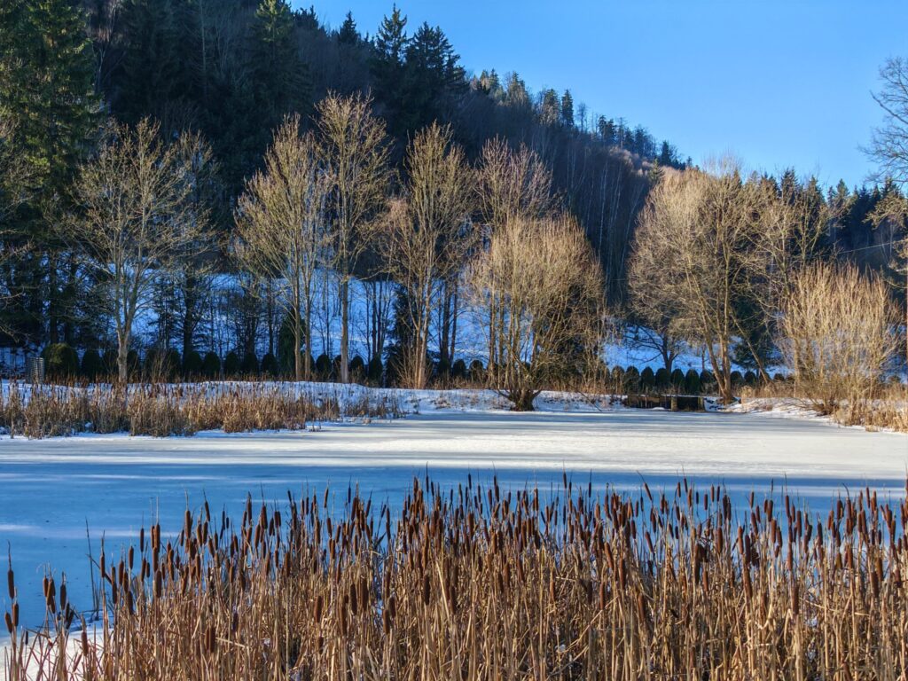 Zdjęcie do artykułu "Finał szkolnego konkursu fotograficznego ZIMA W OBIEKTYWIE"