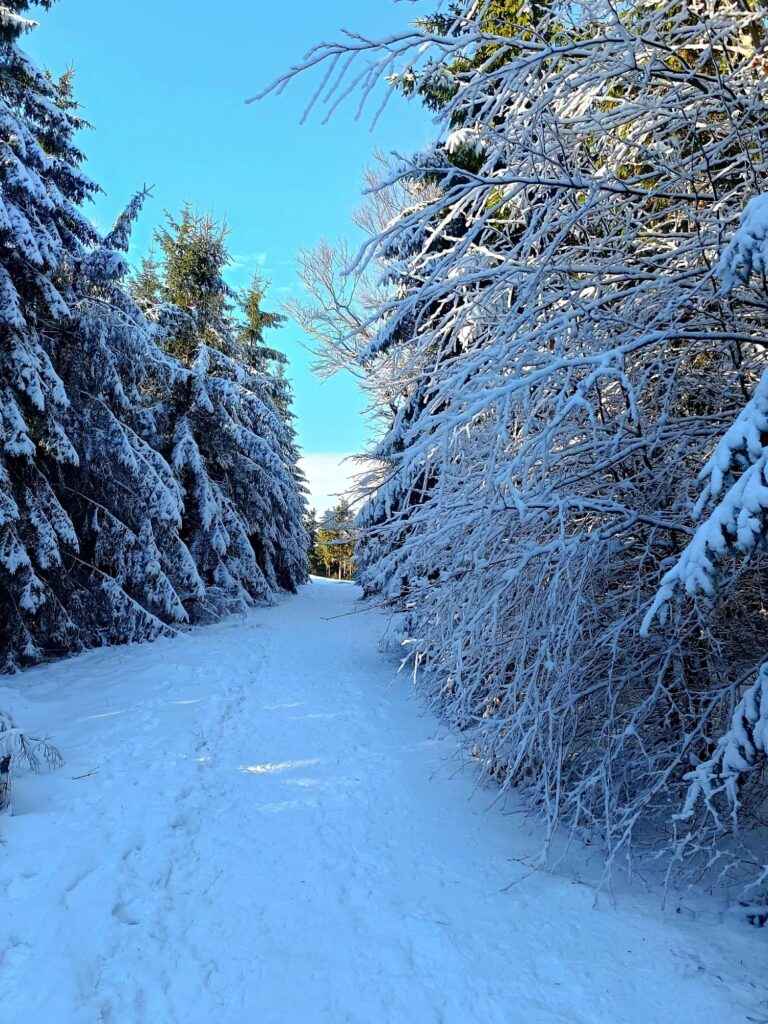 Zdjęcie do artykułu "Finał szkolnego konkursu fotograficznego ZIMA W OBIEKTYWIE"