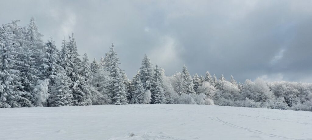 Zdjęcie do artykułu "Finał szkolnego konkursu fotograficznego ZIMA W OBIEKTYWIE"