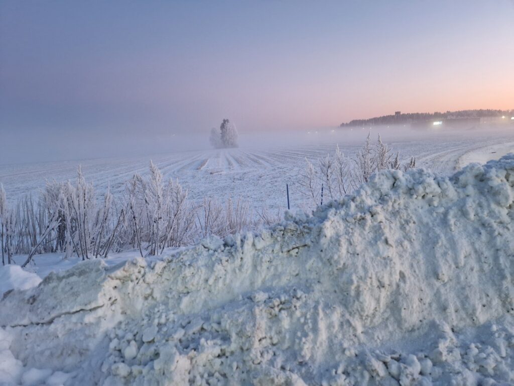 Zdjęcie do artykułu "Finał szkolnego konkursu fotograficznego ZIMA W OBIEKTYWIE"