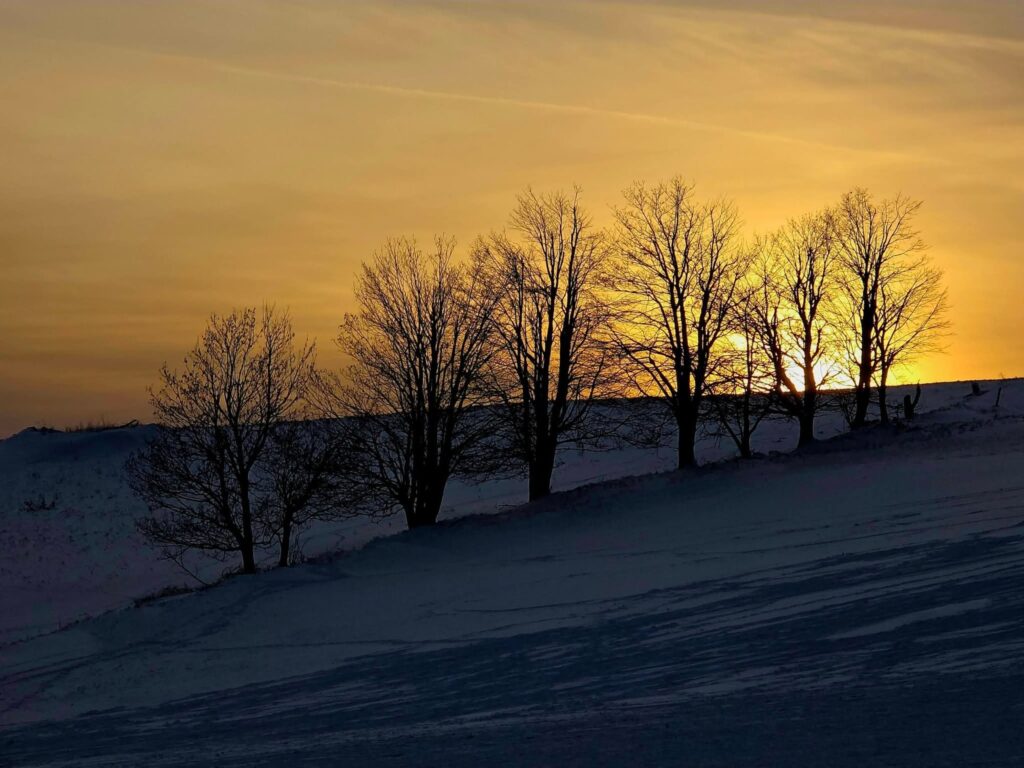 Zdjęcie do artykułu "Finał szkolnego konkursu fotograficznego ZIMA W OBIEKTYWIE"