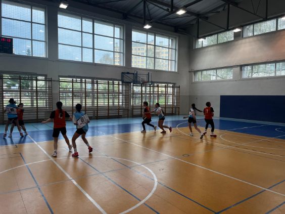 Zdjęcie do artykułu "Mistrzynie Wałbrzycha w piłce ręcznej"